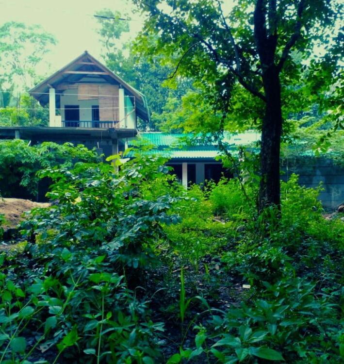 Homestay Dulwan Habarana